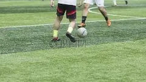 开云体育官网入口网页 产品 115142 t8x