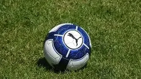 开云体育官网入口网页 产品 134855 dh0