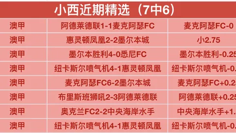 “黄石华新队在乒超第一阶段夺冠，全胜战绩揽获金牌”